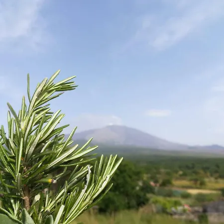 Etna, Salvia E Rosmarino Villa Maletto Exterior photo