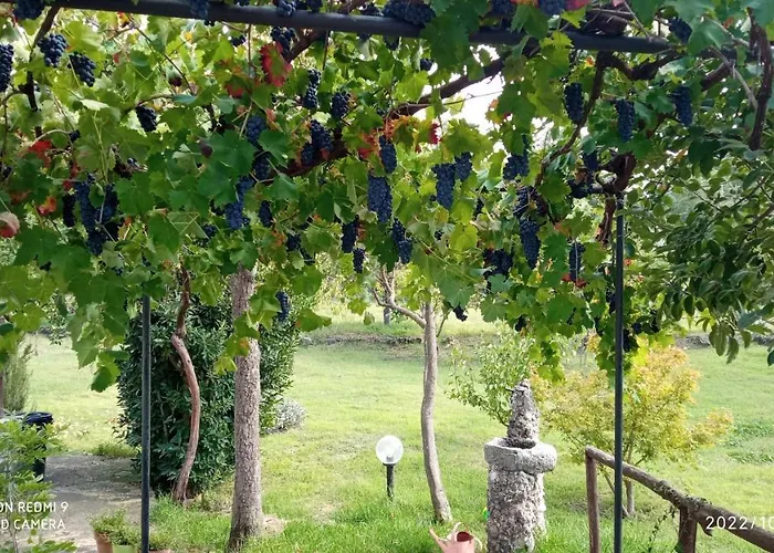 Etna, Salvia E Rosmarino