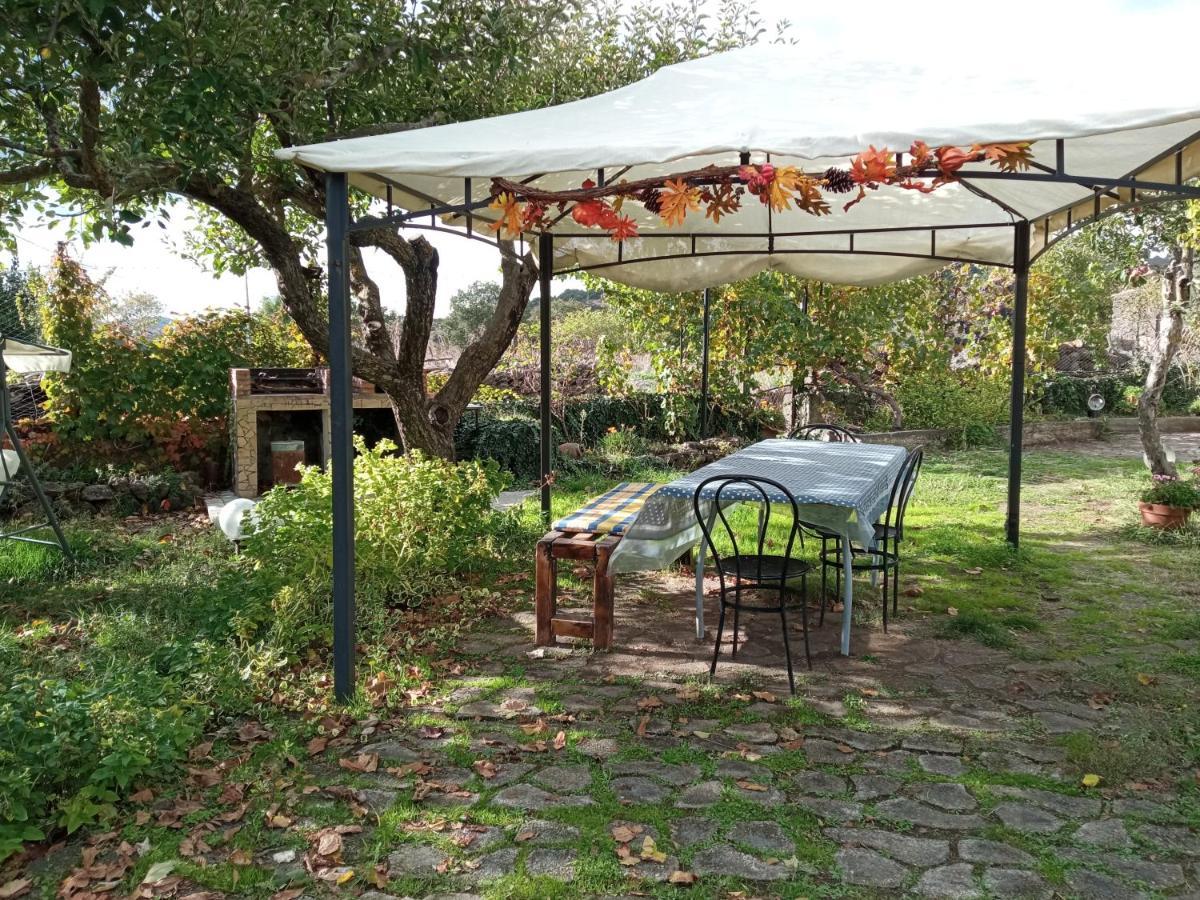 Etna, Salvia E Rosmarino Maletto
