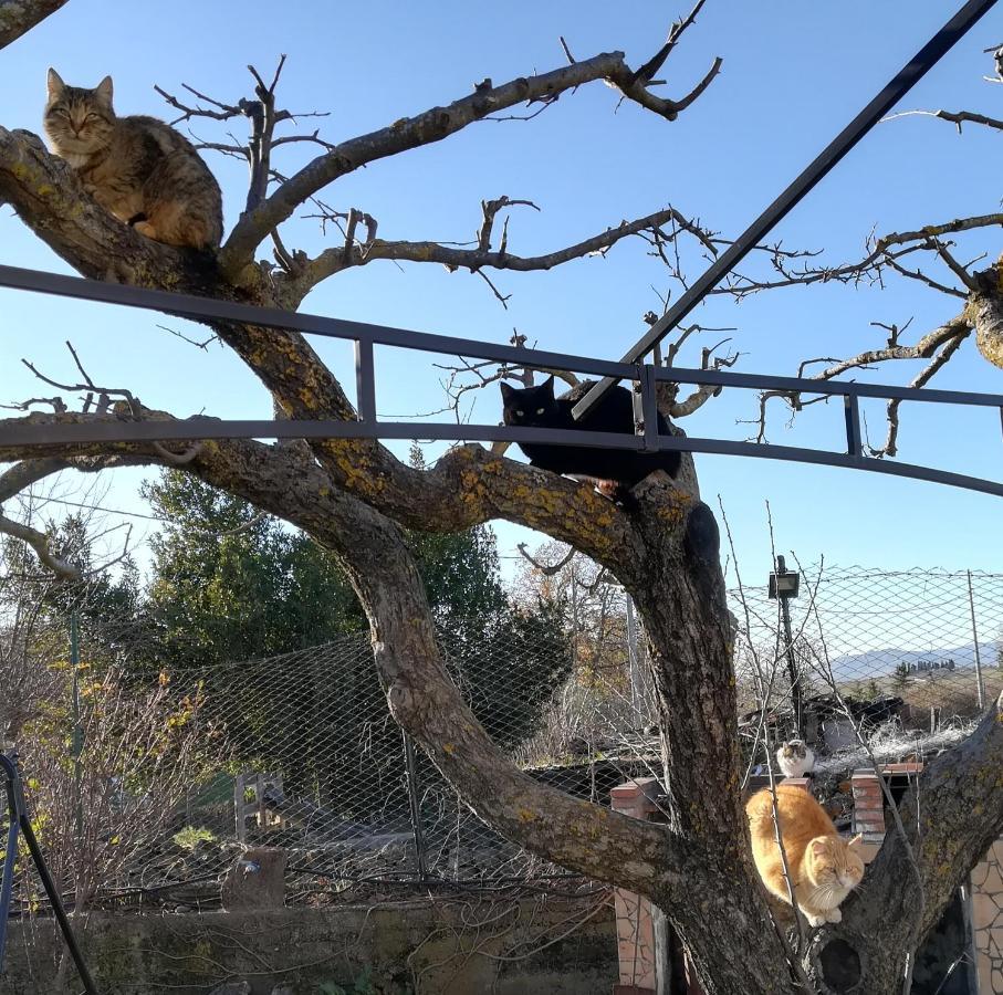 Etna, Salvia E Rosmarino Сasa de vacaciones *