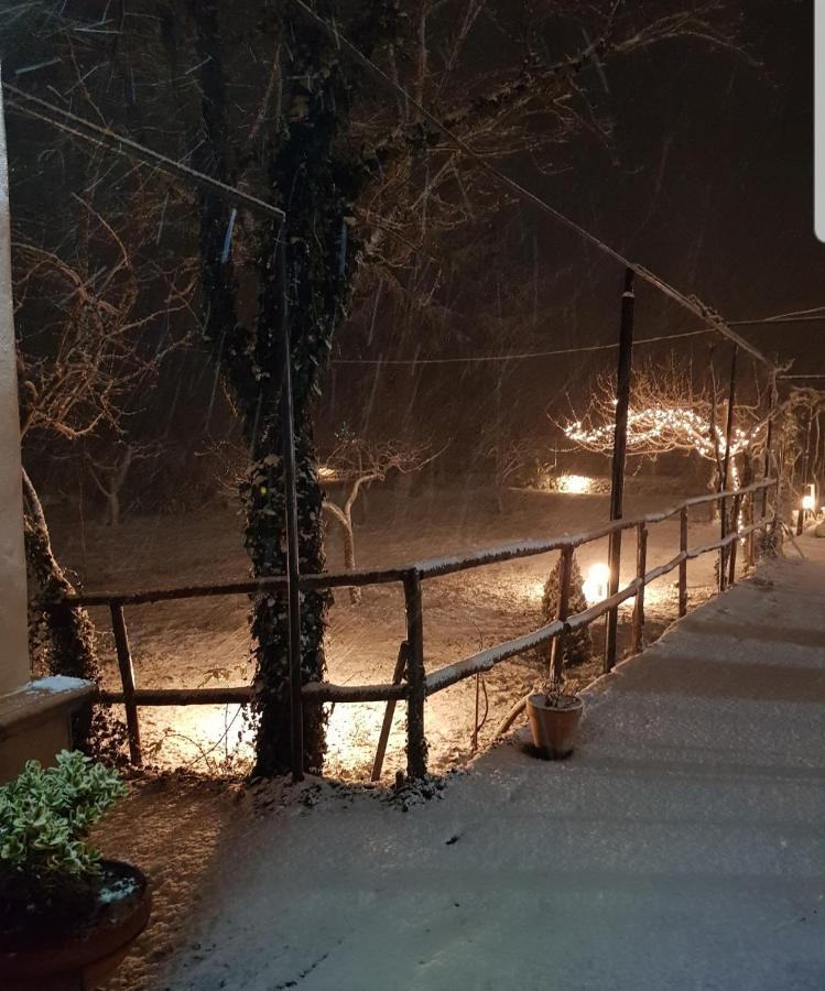 Etna, Salvia E Rosmarino