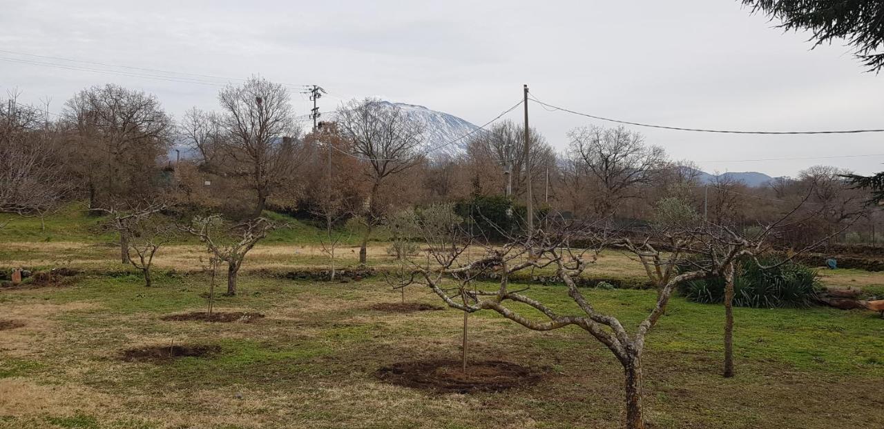 Сasa de vacaciones Etna, Salvia E Rosmarino Maletto