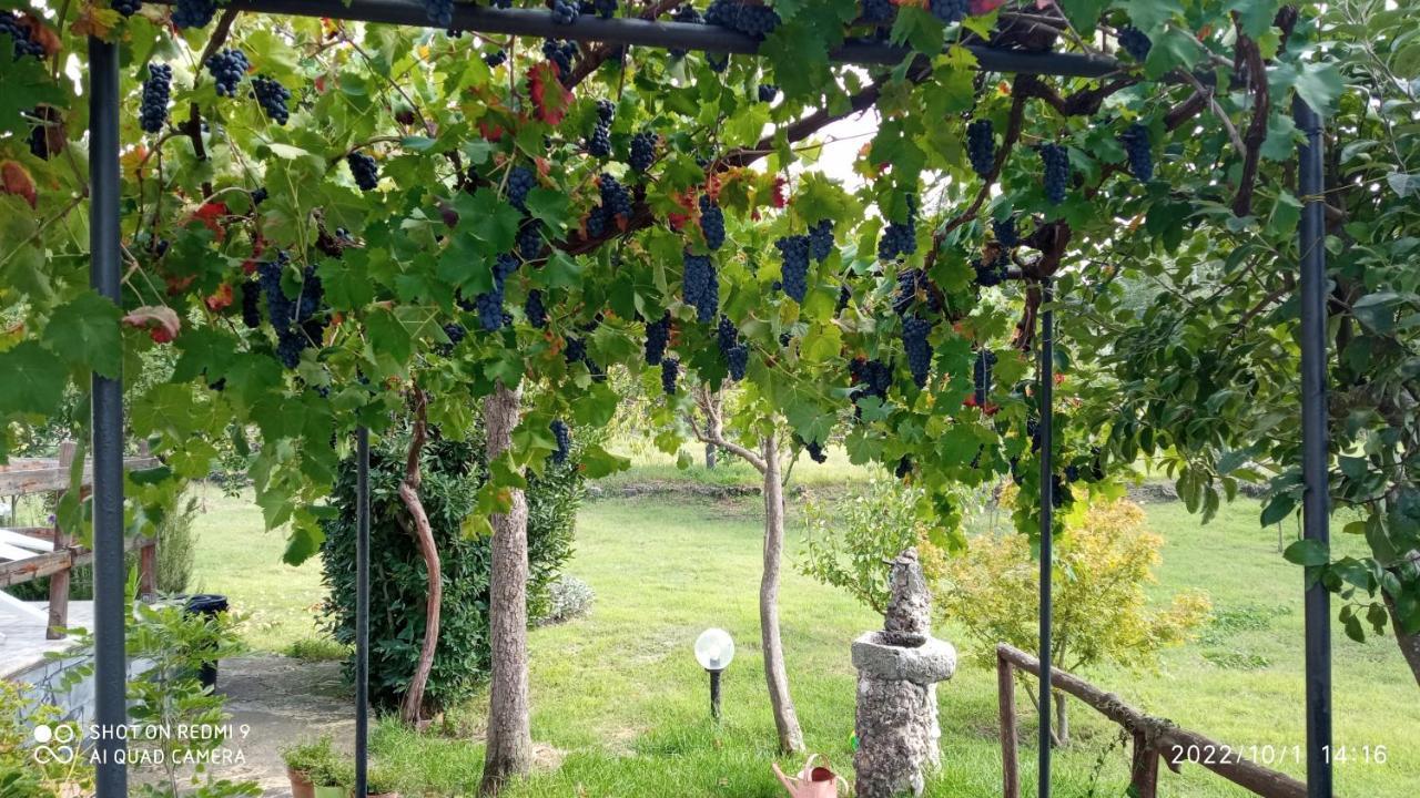 Etna, Salvia E Rosmarino Holiday home
