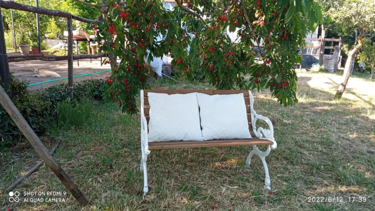 Etna, Salvia E Rosmarino Vakantiehuis Maletto