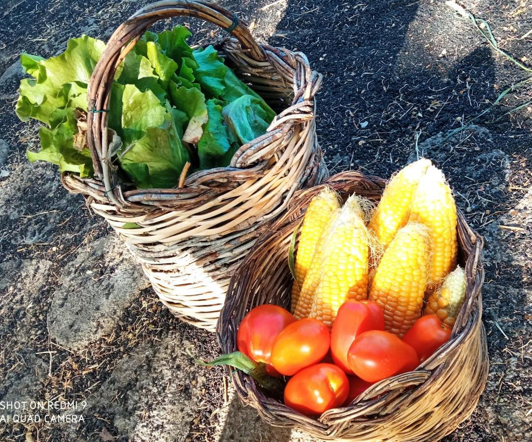 Vakantiehuis Etna, Salvia E Rosmarino Maletto