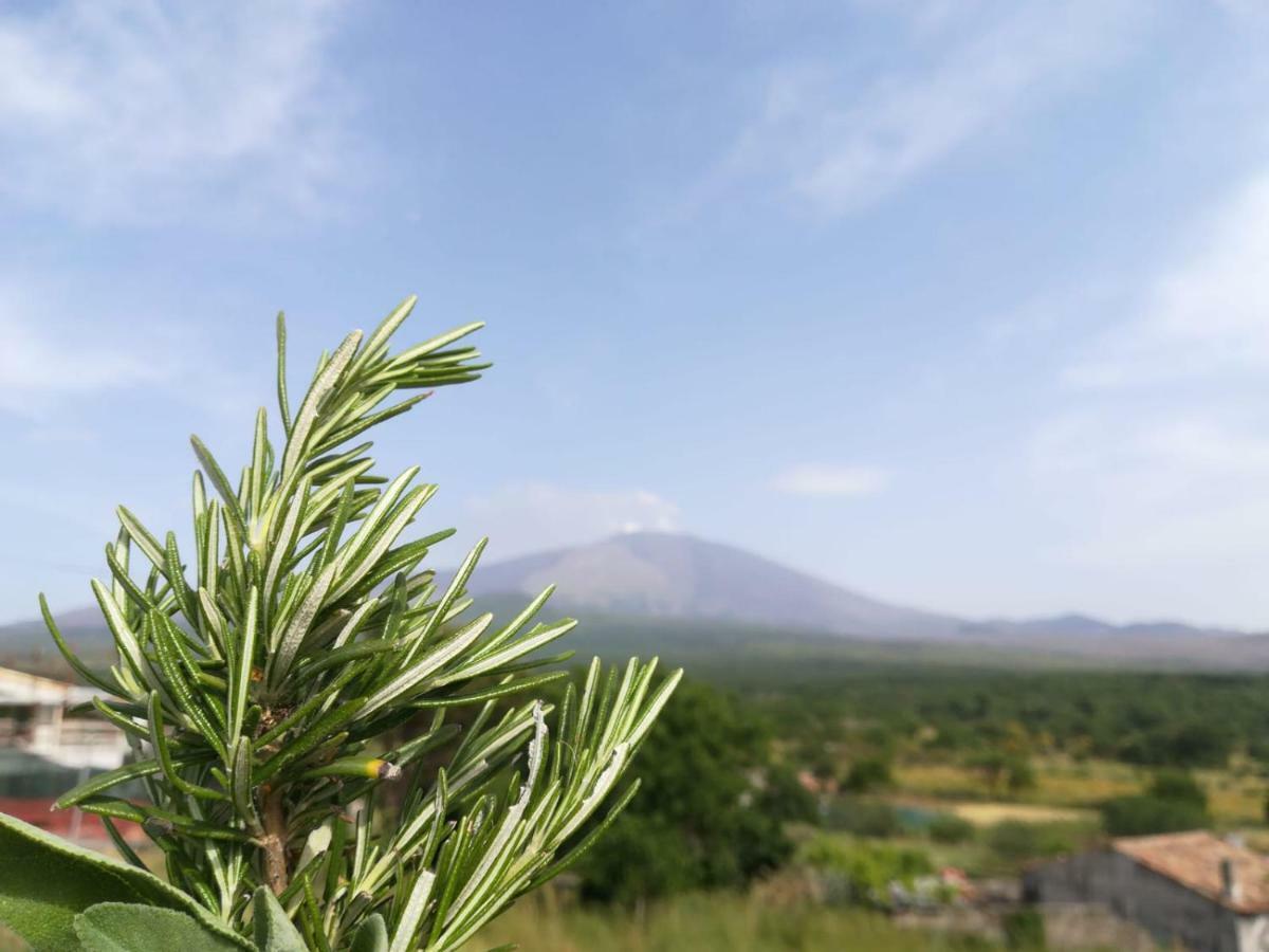 Сasa de vacaciones Etna, Salvia E Rosmarino *