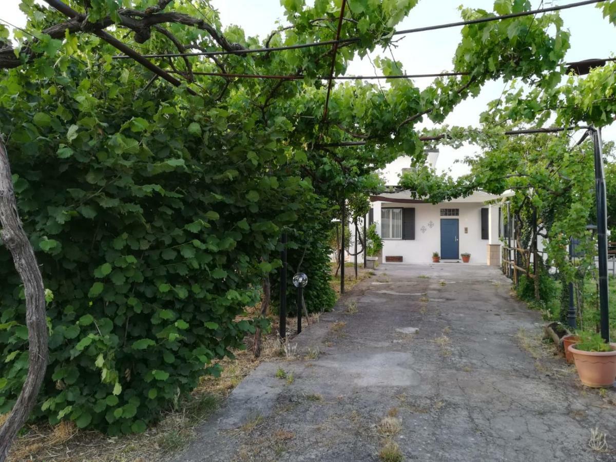 Etna, Salvia E Rosmarino Сasa de vacaciones Maletto