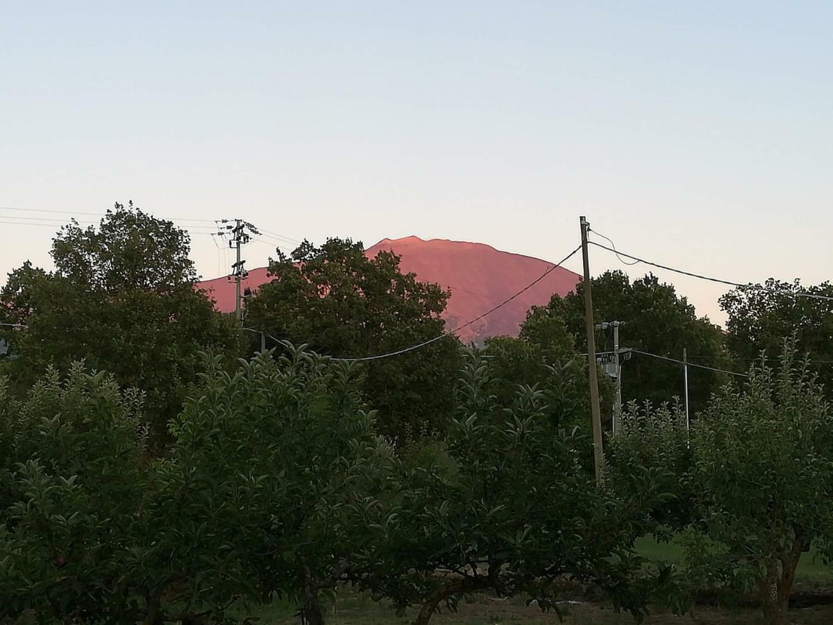 Etna, Salvia E Rosmarino * Maletto